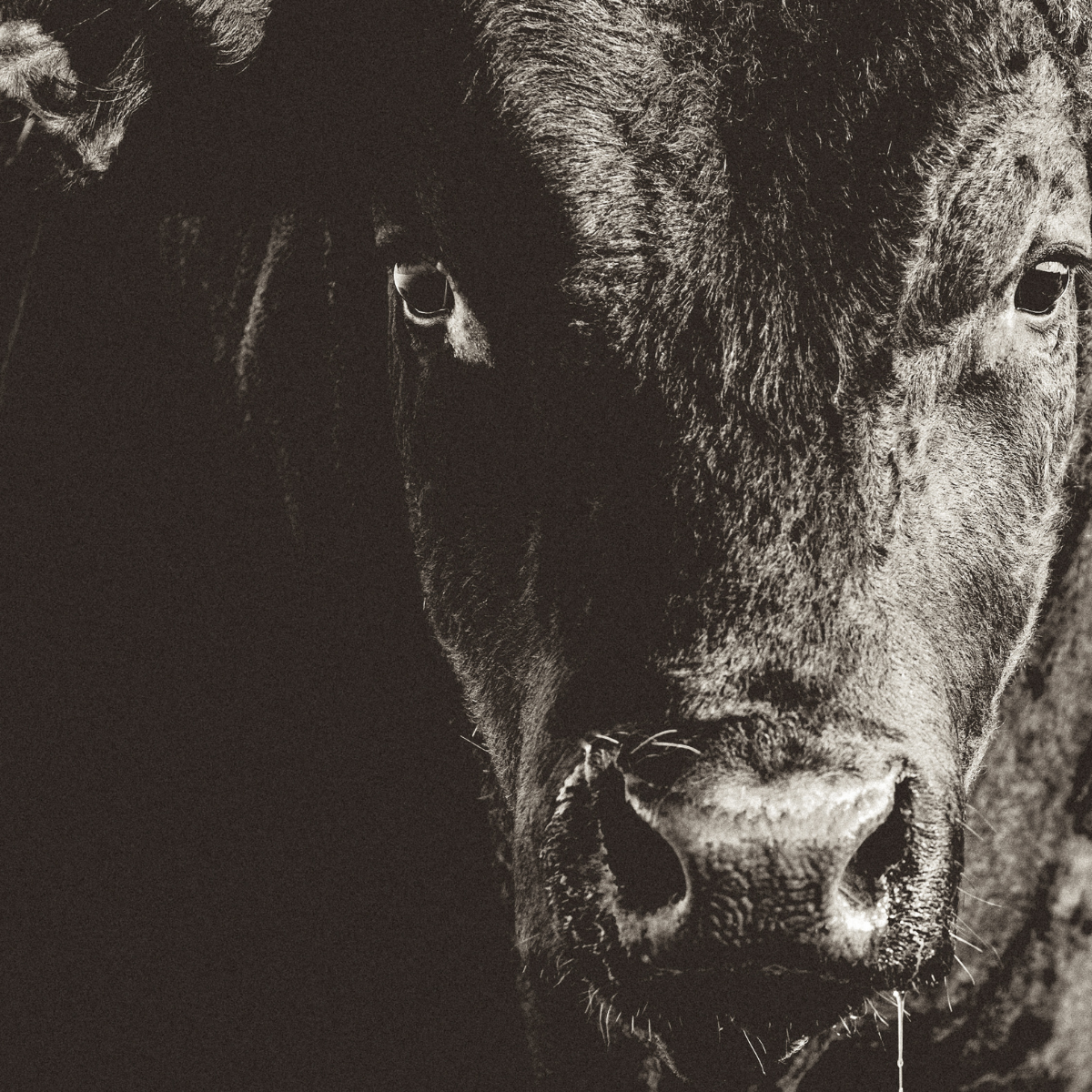 Untitled (1200 x 1200 px) (2)